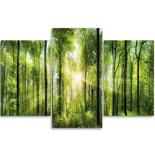 Union Rustic Leinwandbild Green Forest Nature Wayfair De